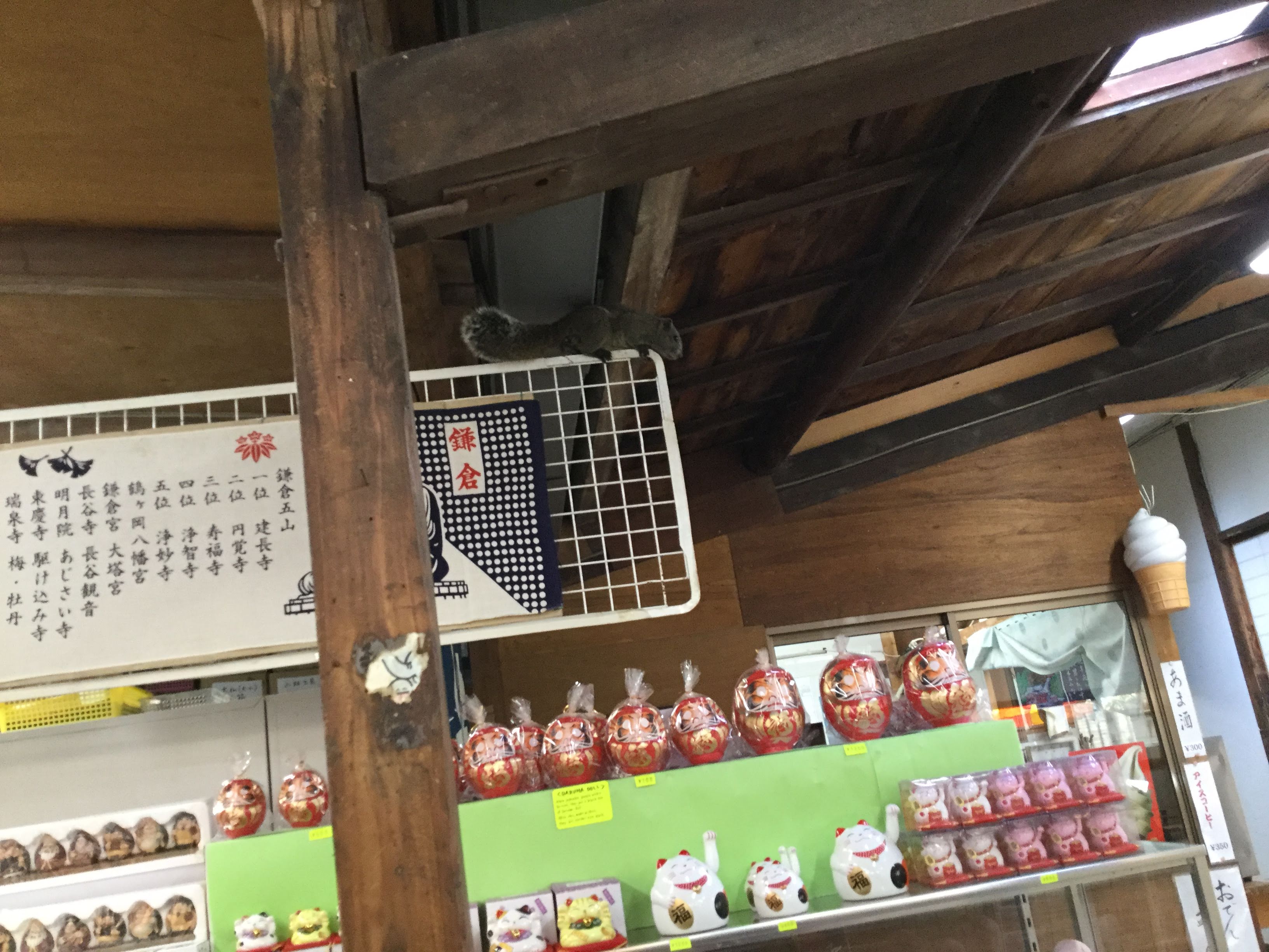 鎌倉の大仏を見に行ってきた 境内や胎内や売店の様子を画像付きで紹介 日本一熱しやすく冷めやすい主婦のスタートダッシュだけを語るブログ